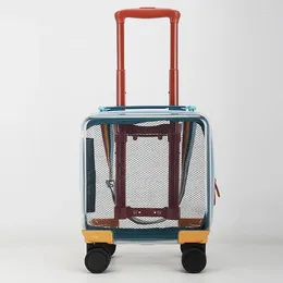 Suitcases TIUMIU Fashion Transparent Box 14 "children's Suitcase With Rope Toy Universal Wheel 20" Adult Pull-rod