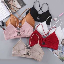 Bras Bras Sets 2023 sexy threaded sports yoga bra pure cotton sports bra fitness top bra breathable strap underwear bra pad wrap chest YQ240203