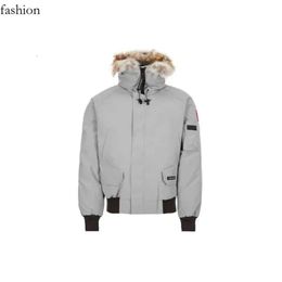 Canadian Goose Slim Fitting Mens and Womens Zippered Plush Hat Fashion Goose Warm Down Jacket for Couples Canadian Goose 800