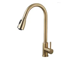 Kitchen Faucets Nordic Brushed Gold 304 Stainless Steel And Cold Sink Water Purifier Faucet Light Luxury