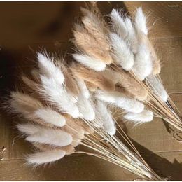 Decorative Flowers 60pcs Mix Lagurus Rabbit Tail Grass Natural Pampas Dried Flower Bouquet Floral Wedding Boho Home Decoration Po Props