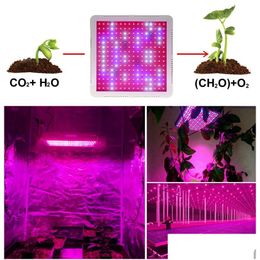 Grow Lights Fl Spectrum Led Light 2000W With Veg And Bloom Double Switch Plant Lamp For Indoor Hydroponic Seedling Tent Greenhouse F Dhgul