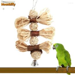 Other Bird Supplies Natural Chew Toy For Pet Parrot Macaw Parakeet Lovebird Bite Swing Cage Loofah Vine Ball Hanging Accessories