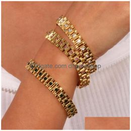 Chain Link Bracelets Quality Pink Crystal Green Zircon Stone Watchband Chain Bangles For Women Stainless Steel Gold Plated Bracelet D Dh4Ca