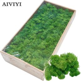 High Quality Artificial Green Plant Immortal Fake Flower Moss Grass Home Living Room Decorative Wall DIY Mini Accessories 240127