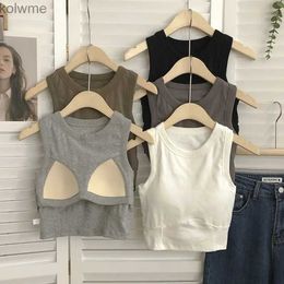 Bras Y2k Girls Sexy Crop Tops Female Seamless One-piece Sports Bra Lingerie Underwear Female Summer Vest Camisole with Chest Pads YQ240203