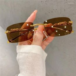 Sunglasses Vintage Fashion Small Rimless Square Women For Men Sun Glasses Punk Shades Designer Metal Leopard