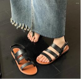 Sapatos femininos à venda 2024 Sandals Moda Basic Summer Peep Toe Buckle Strap Flat Daily Beach 90