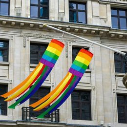 Party Decoration 100cm Rainbow LGBT Peide Windpipe Flag Windsock Outdoor Garden Silk Banner Gay Lesbian Supplies