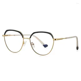 Sunglasses Fashion Brand Ladie's Metal Eyebrow Frame Optical Glasses Womenanti Blue Large Cat Eye Spectacle