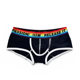 Underpants Men's Underwear Low Waist Sexy Solid Colour Black And White Basic Rainbow Independent Capsule Design Boxer Briefs