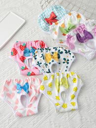 Dog Apparel Physiological Pants Pet Supplies Menstrual Princess Panties Diaper Clothes