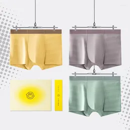 Underpants Men's Underwear Modal Boxer Shorts 3PCS