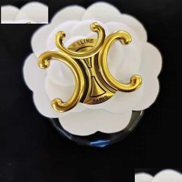 Pins, Brooches Pins Brooches Luxury Brand Letter Designer Brooch Fashion Jewellery Women Pin Gold Sier Suit Q231107 Drop Delivery Jewel Dhinj