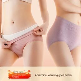 Womens Panties Women Winter Thicken Thermal Underwear High Waist Flat Belly Warm Palace Underpants Seamless Briefs Fever Thermo Clothes