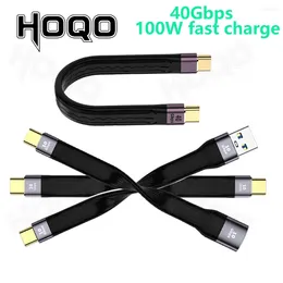 Short USB C Cable Type Male To FPC Thunderbolt 4 USB4.0 PD 100W Quick Charge 8K Video 40Gbps For SSD EGpu PowerBank