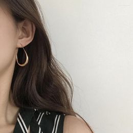 Dangle Earrings Oval Hoop Ears Jewellery Metal For Women Men Geometric Ear Rings