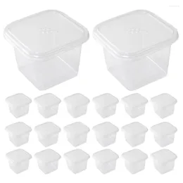 Take Out Containers 50 Pcs Cake Box Boxes Paper Cups Biscuit With Lids Clear Cupcake Small Plastic Dessert Bakery
