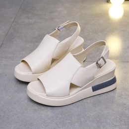 Dress Shoes Summer Sport Sandals For Women 2024 Casual Footwear Height Increasing Female Beach