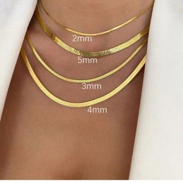 Chains Fashion Necklace Snake Stainless Steel Chain For Women Choker Herringbone Gold Silver Colour Jewellery