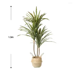 Decorative Flowers Green Sago Cycas Emulational Plants And Plant Pot Decoration Large Floor For Living Room