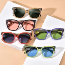 Sunglasses Retro Polarized Frosted Panel Square Eyeglasses Women Men Acetate Frame Sun Glasses Driving Fishing UV400 Outdoor