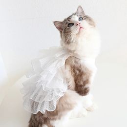 Hanpanda 2024 Spring Summer Cat Lace Gypsophila Wedding Dress Sweet Pet Dress Cat Cloth Airtible Birthday Clother for Female Cats 240130