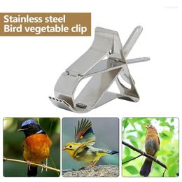 Other Bird Supplies Fruit Clips Stainless Steel/Plastic Pet Vegetable Parrot Small Animal Feeder Clip Feeding Tool Cage Accessories