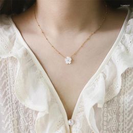 Pendant Necklaces 2024 Natural Shell Five Leaf Flower Necklace Choker Jewelry Luxury Golden Non Tarnish Stainless Steel For Women