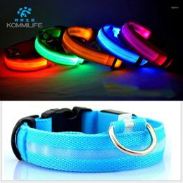 Dog Collars Polyester Led Collar Luminous Glow Necklace Anti-lost/avoid Car Accident For Dogs Walking At Nigh