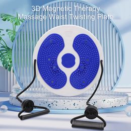 Torsion Disc Board with Pull Rope Magnetic Massage Plate Massage Foot Sole for Slimming Waist Arms Hips Thighs 240123