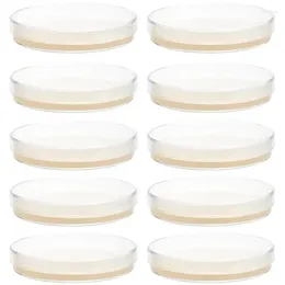 10pcs Agar Plates Prepoured Petri Dishes Science Projects Experiment Supplies Technology Engineering For .