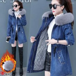 Women's Trench Coats Winter Cotton Thicken Denim Jacket Women 2024 Warm Fur Collar Hooded Jackets Slim Female Casual Zipper Overcoat