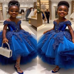 2024 Royal Blue Lace Flower Girl Dresses Ball Gown Tulle Tiers Luxurious Little Girl Christmas Peageant Birthday Christening Tutu Dress Gowns ZJ429