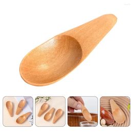 Tea Scoops 4pcs Small Wooden Spoons Seasoning Reusable Wood Kitchen Supplies