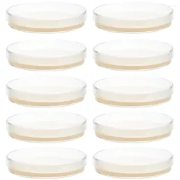 10pcs Prepoured Agar Plates Petri Dishes With Science Experiment Nutrient Culture Medium Bickman Biological Plate