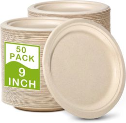 disposable party pl 9 Inch Paper Plates 50-Pack Disposable Party Plates I Heavy Duty Eco-Friendly Sturdy Dinner Wedding 240122