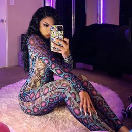 Snakeskin Print Sexy Jumpsuit Women Long Sleeve Turtleneck Bodycon Jumpsuit Rompers Autumn Club Sexy Female Streetwear 240129