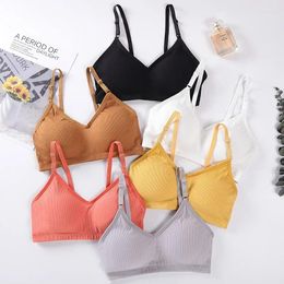 Bras Sport Push Up Bra For Women Solid Bralette Wire Free Mujer Sleep Tube Top Sleepwears