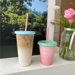 Mugs 700ml Water Cup Ice Coffee Juice Milk Tea Mug Straw With Lid Matte Reusable Tumbler Plastic Cups Drinking Bottles