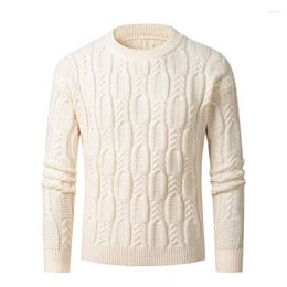 Men's Sweaters 2024 Sweater Trend Brand Fashion Urban Warm Autumn And Winter Leisure Knit Base Shirt Men Polyester Clothing