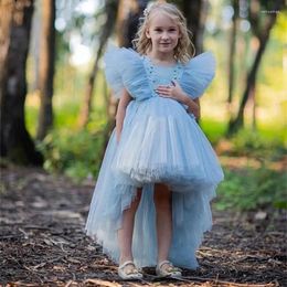 Girl Dresses Light Blue Flower Dress For Wedding Puffy Pearls Cute Kids Birthday Evening Party Princess First Communion Ball Gowns