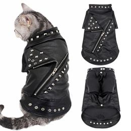 Giacca in pelle per gatti Cani caldi Vestiti per gatti Cappotto Autunno Inverno Abbigliamento per animali Cucciolo Gattino Abiti Costumi per Chihuahua Yorkshire 240130