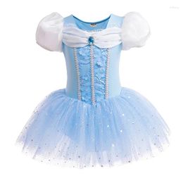 Stage Wear Blue Dancer Dress Kids Girls Mesh Tutu Ballet Dance Costume Open Crotch Gymnastics Leotard Ballerina Dancewear