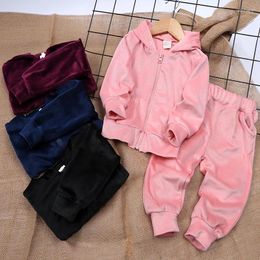 Clothing Sets Autumn 2024 High Quality Luxury Velvet Kids Girls Tracksuit Hoodie Plain Zip Up Clothes Boys Sweatsuit Winter