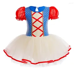 Stage Wear Children Dancer Dress Kids Girl Mesh Tutu Ballet Dance Costume Open Crotch Gymnastics Leotard Ballerina Dancewear