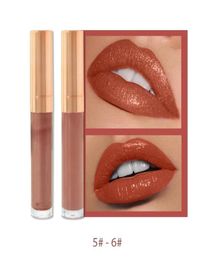 Custom Logo Waterproof Moisturizing Glossy Shimmer Lip Gloss Whole 6 Colors Nude Color Liquid Lipgoss Makeup Lipsticks with Pa3250100