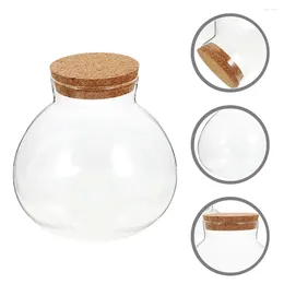 Vases Plant Glass Jar With Lid Foods Storage Cansiter Cork Microlandschaft Empty Bottle