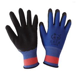 Disposable Gloves 5 Pair Cut Resistent Anti Protection Safety For Cutting Protective Work