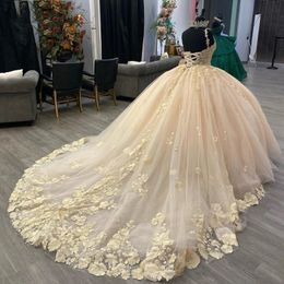 Champagne Illusion Sweetheart Ball Gown Quinceanera Dresses Spaghetti Strap Floral Appliques Lace Tull Corset Vestidos De 15 Anos